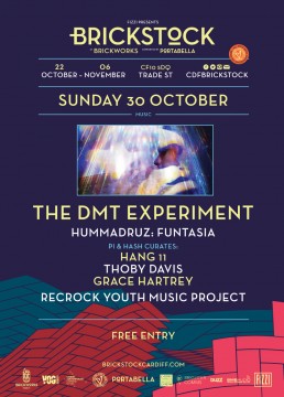 The DMT Experiment